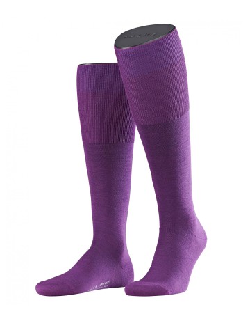 Falke Airport Men's Knee High Socks petunia