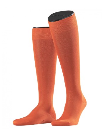 Falke Tiago Men's Knee High Socks nectarine