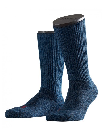 Falke Walkie Ergo Socks teal